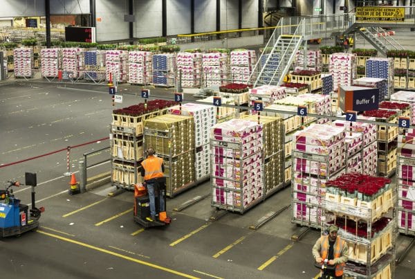 Image of a Busy Material Handling Warehouse.